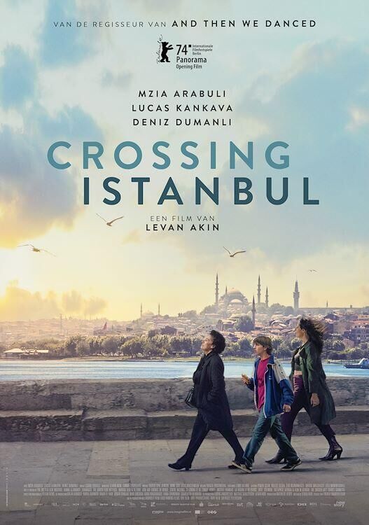 Crossing Istanbul