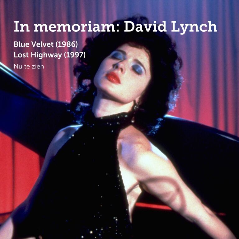 Een ode aan de legendarische filmmaker David Lynch&nbsp;